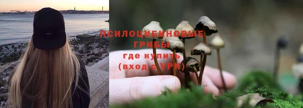 мдпв Нефтегорск
