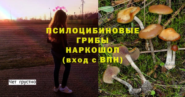 мдпв Нефтегорск