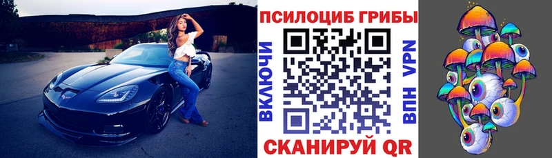 Купить где  Хилок  Галлюциногенные грибы GOLDEN TEACHER 