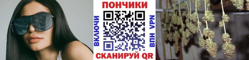 Купить  Хилок  Марихуана MAZAR 
